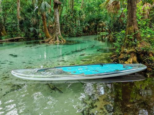 A paddleboard rests on calm, clear water surrounded by lush greenery and trees in a serene natural setting.
