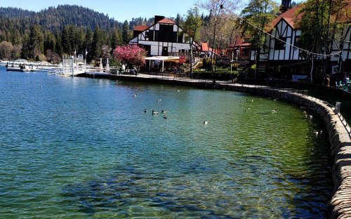A serene lake scene with ducks swimming, surrounded by trees and charming buildings in a picturesque setting.