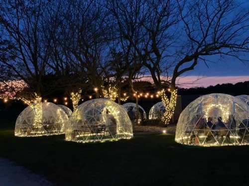 A cozy outdoor scene featuring illuminated igloo-like structures surrounded by trees and string lights at dusk.
