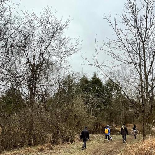 A group of people walking along a path in a wooded area on a cloudy day, surrounded by bare trees.