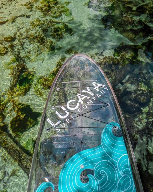 A clear paddleboard with a blue wave design floats above a rocky, transparent ocean floor.