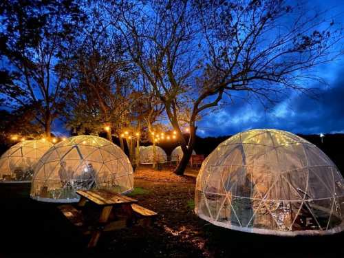 Illuminated geodesic domes in a wooded area at dusk, surrounded by trees and string lights.