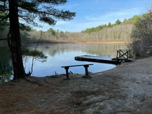A serene lake scene with a wooden dock, a bench, and trees lining the shore under a clear blue sky.