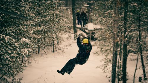A person zip-lining through a snowy forest, surrounded by trees and falling snowflakes.