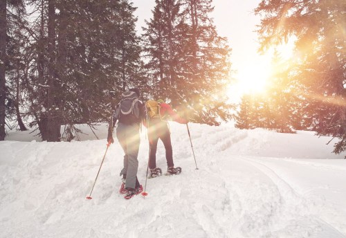 Two people snowshoeing through a snowy landscape, surrounded by tall trees, with sunlight shining in the background.