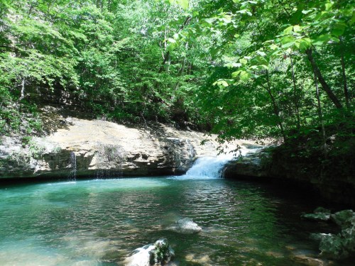 A serene forest scene featuring a clear blue pool and a small waterfall surrounded by lush green trees.