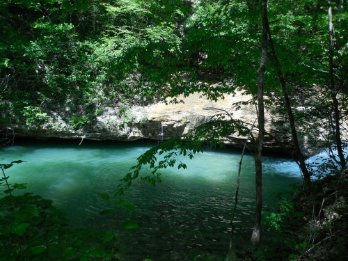 A serene river flows through a lush green forest, with rocky banks and sunlight filtering through the trees.