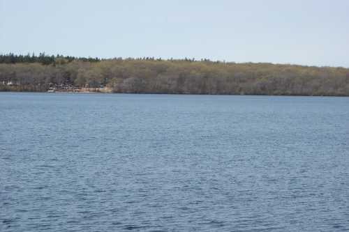 A calm lake with a tree-lined shore in the background under a clear sky.