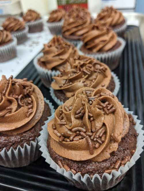 Close-up of chocolate cupcakes with swirled frosting and chocolate sprinkles on top, arranged on a tray.
