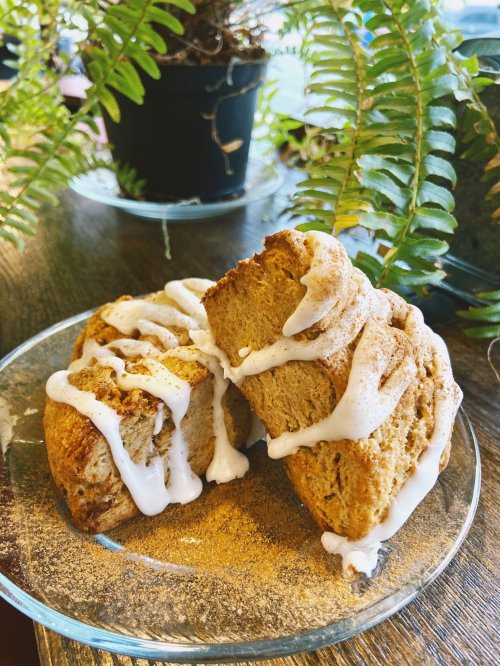 Two cinnamon scones drizzled with white icing, placed on a glass plate with ferns in the background.