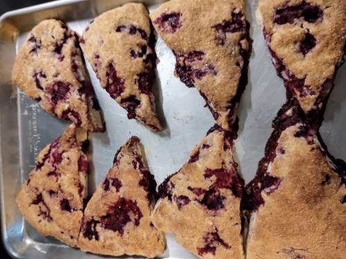 A tray of freshly baked scones with a berry filling, cut into triangular pieces.