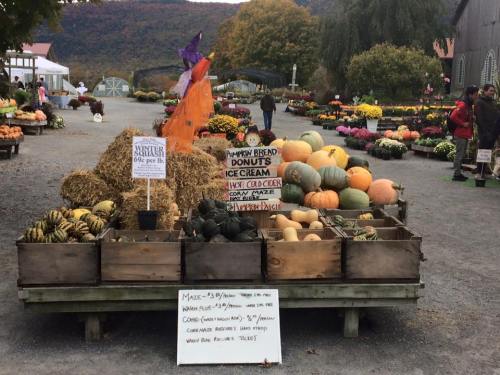 A farm stand displays pumpkins, gourds, and seasonal treats like donuts and hot cider, with a scenic backdrop.
