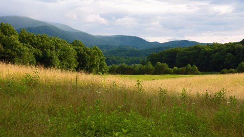 A serene landscape featuring rolling green hills, a grassy field, and distant mountains under a cloudy sky.