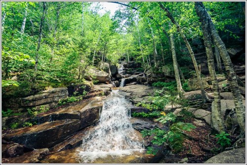 A serene waterfall cascades over rocky terrain, surrounded by lush green trees and vibrant foliage.