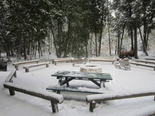 A snowy outdoor gathering area with benches and a fire pit surrounded by trees.