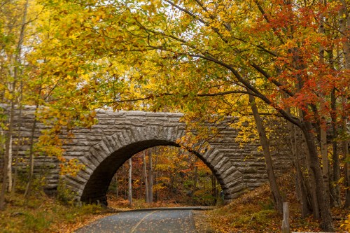 A stone arch bridge surrounded by vibrant autumn foliage in a peaceful forest setting.