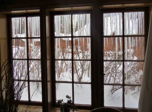 View through a window with icicles hanging above, overlooking a snowy landscape and bare bushes outside.