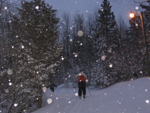 A person skiing on a snowy path surrounded by trees, with snowflakes falling and a streetlight glowing in the evening.