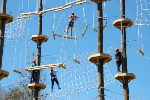 Four people navigate a high ropes course, balancing on wooden planks and climbing nets against a clear blue sky.
