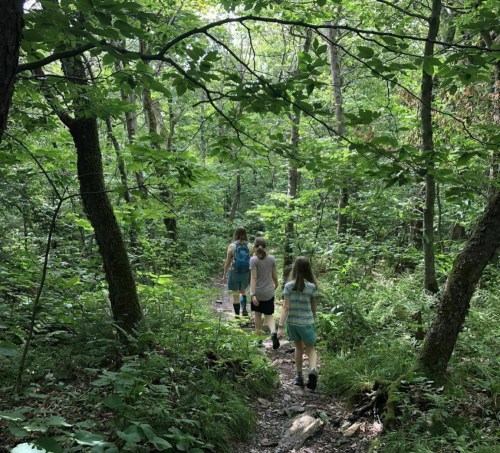 Three children walking along a wooded trail surrounded by lush green trees and foliage.