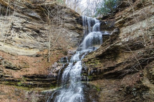 A cascading waterfall flows down rocky cliffs, surrounded by bare trees and earthy tones.