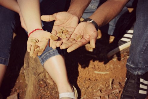 Two hands, one with a red bracelet, hold small pieces of clay or earth, sitting on a dirt surface.