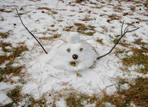 A small snowman made of snow, with a pinecone for a nose and sticks for arms, sitting on a snowy ground.