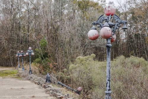 A row of vintage street lamps with faded pink globes, surrounded by overgrown vegetation and bare trees.