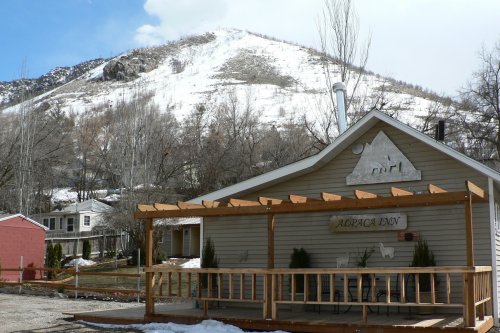 A cozy building labeled "Alpaca Den" with a wooden deck, set against a snowy mountain backdrop.