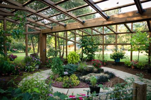 A beautifully designed garden with a wooden frame, featuring various plants and flowers in pots, surrounded by greenery.