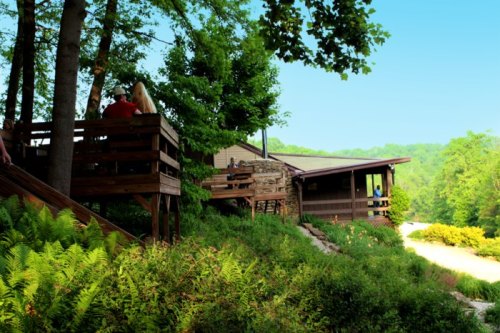 A wooden deck surrounded by greenery, leading to a rustic building in a scenic, wooded area.