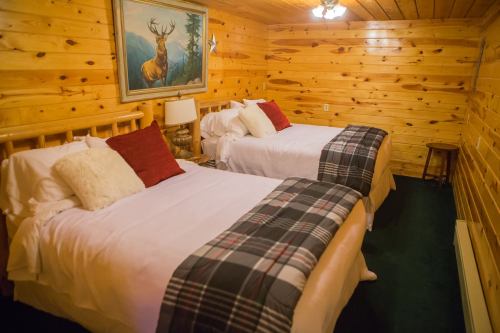 Cozy cabin bedroom with two beds, wooden walls, plaid blankets, and a deer painting above a lamp.