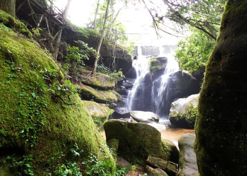 A serene waterfall cascades over rocks, surrounded by lush greenery and moss-covered stones in a tranquil forest setting.