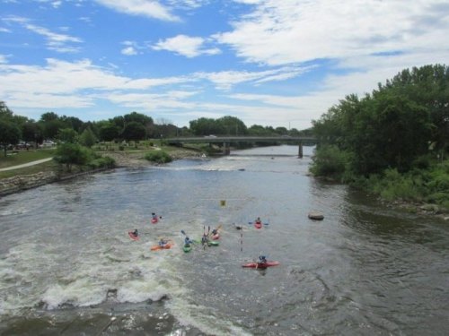 A group of kayakers paddles on a river under a blue sky, with a bridge and trees in the background.