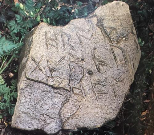 A weathered rock with carved inscriptions, surrounded by green foliage.