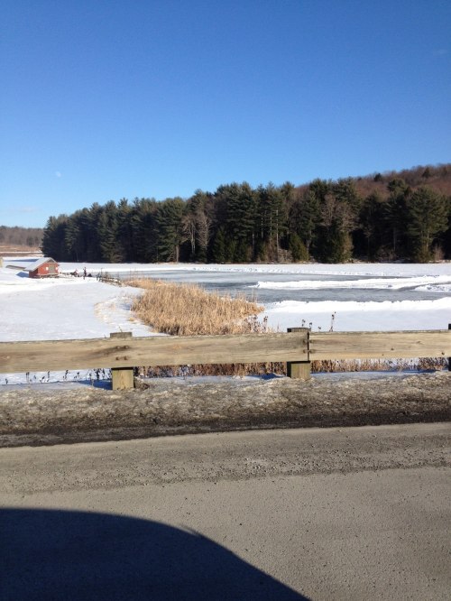 A snowy landscape with a frozen pond, surrounded by trees and tall grasses, under a clear blue sky.