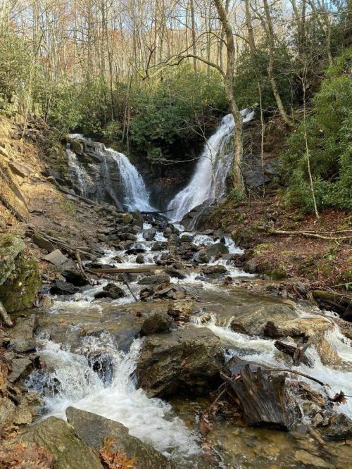 A serene waterfall cascades over rocks, surrounded by trees and greenery in a tranquil forest setting.
