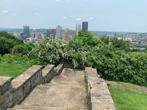A stone staircase leads down to a lush green area with blooming flowers, overlooking a city skyline in the distance.