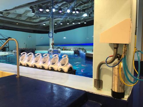 A view of a pool area with white seats lined up, blue walls, and underwater lighting in a spacious facility.