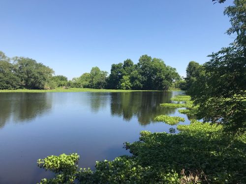 A serene lake surrounded by lush greenery and trees under a clear blue sky. Reflections shimmer on the water's surface.