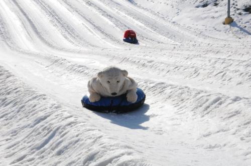 A polar bear plush toy sits on a blue snow tube, sliding down a snowy slope with tire tracks in the background.