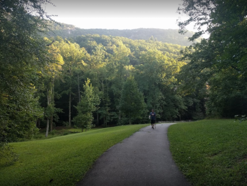 A person jogs along a paved path surrounded by lush green trees and a mountainous backdrop.