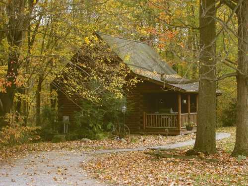 A cozy log cabin surrounded by colorful autumn foliage and a gravel path leading to the entrance.