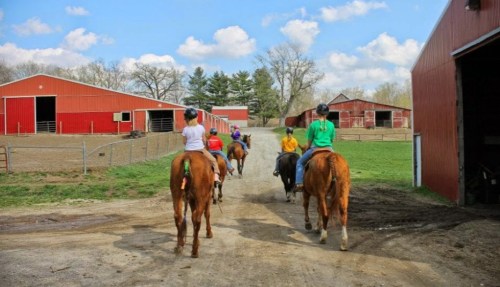 A group of riders on horseback walking down a dirt path near red barns under a blue sky with fluffy clouds.