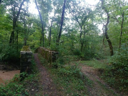 A stone bridge surrounded by lush green trees and a dirt path in a serene forest setting.