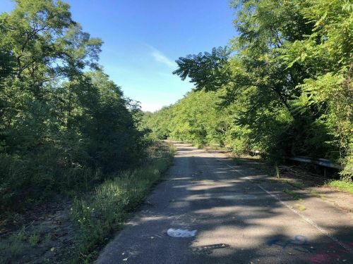 Overgrown road surrounded by lush greenery under a clear blue sky, suggesting abandonment and nature reclaiming the area.