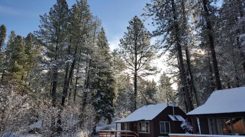 A snowy landscape with tall pine trees and a cozy cabin, illuminated by sunlight peeking through the branches.