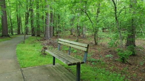 A wooden bench sits on a path surrounded by lush green trees in a tranquil forest setting.