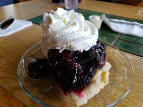 A dessert featuring a layer of cake topped with blackberries, berry sauce, and a generous swirl of whipped cream.