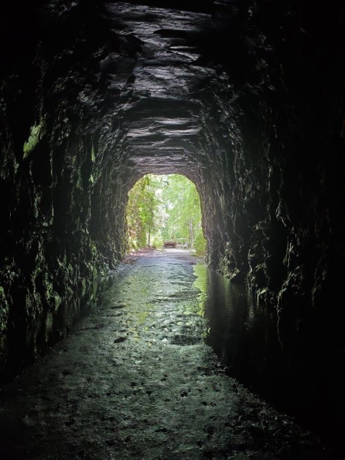 A dark tunnel with rocky walls, leading to a bright opening surrounded by greenery. Water pools on the ground.
